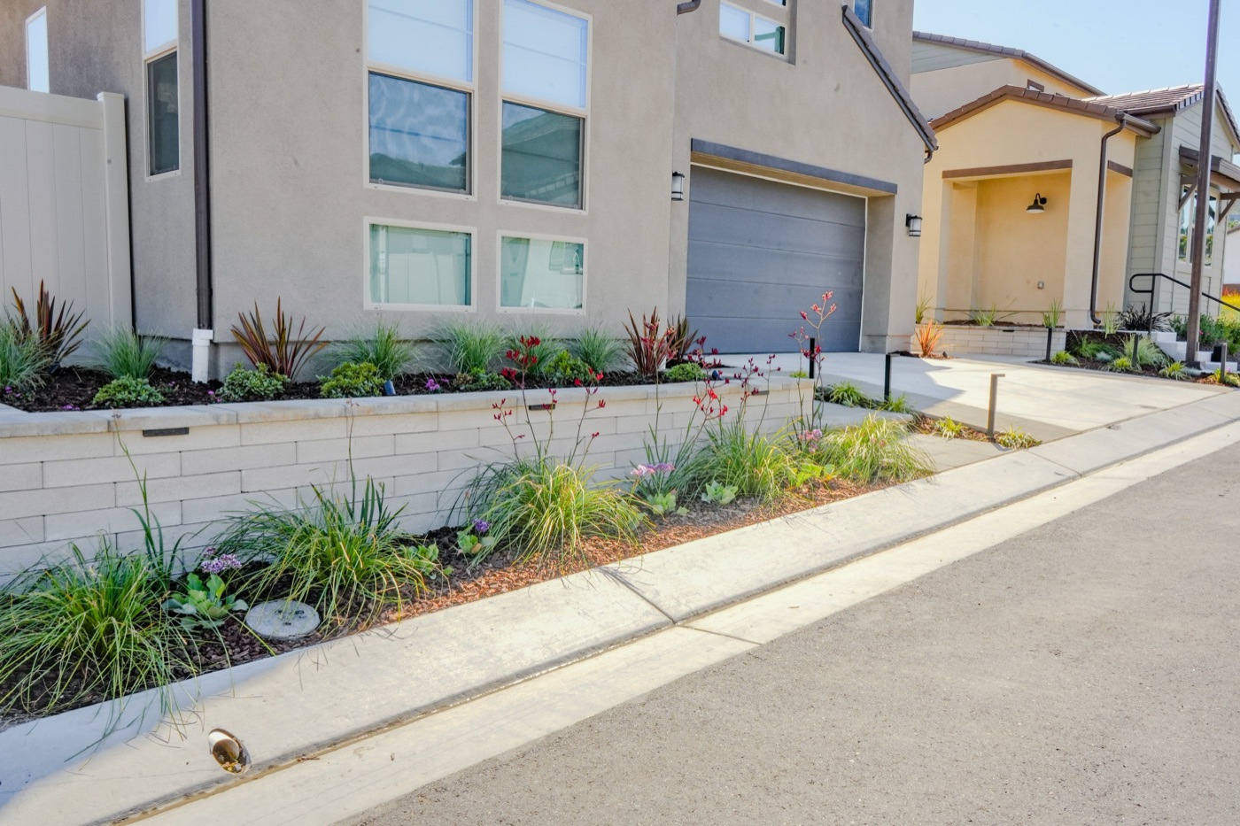 Contemporary drought-tolerant front yard in Broussard by Abshire Brothers Lawn & Landscape